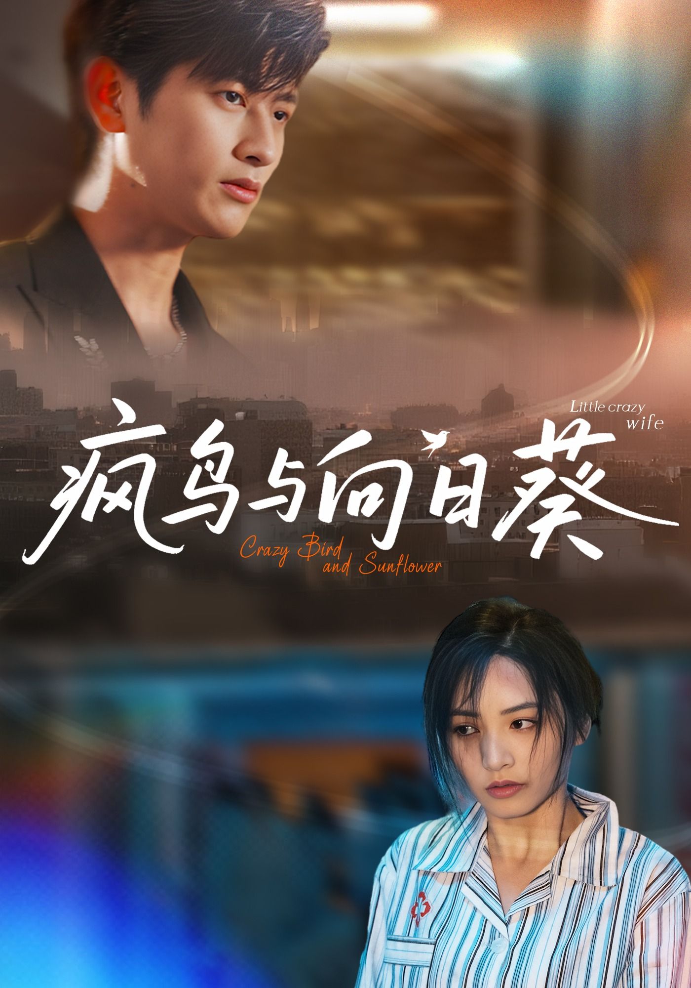 疯鸟与向日葵40集全集未删减版，韩叙李虹艺主演，免费在线观看，百度夸克网盘资源分享下载  第1张