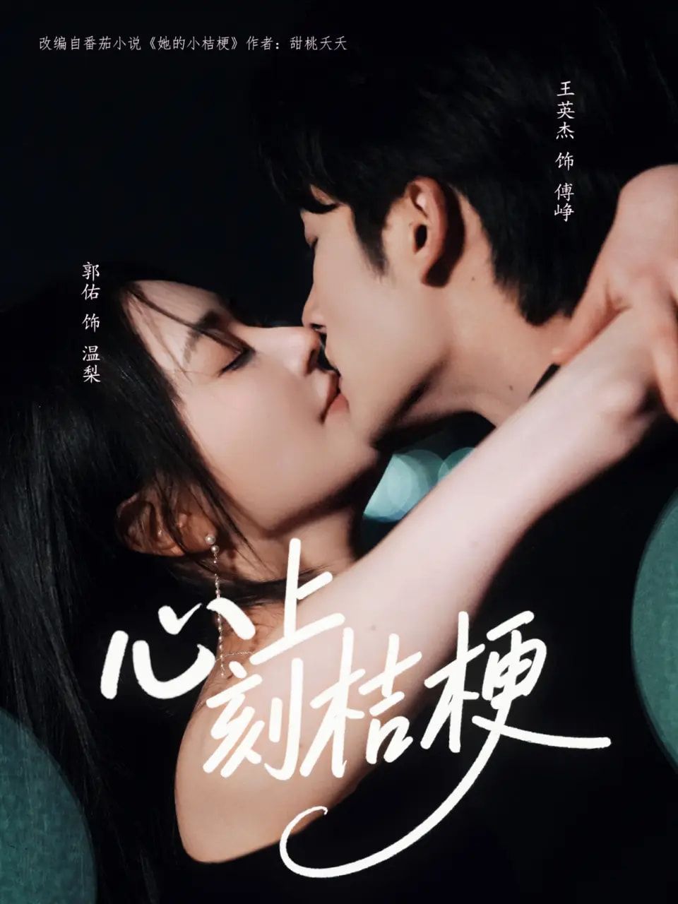 心上刻桔梗王英杰郭佑90集全集完整版未删减,免费在线观看播放,百度网盘夸克网盘资源分享下载 第1张 心上刻桔梗王英杰郭佑90集全集完整版未删减,免费在线观看播放,百度网盘夸克网盘资源分享下载 第1张