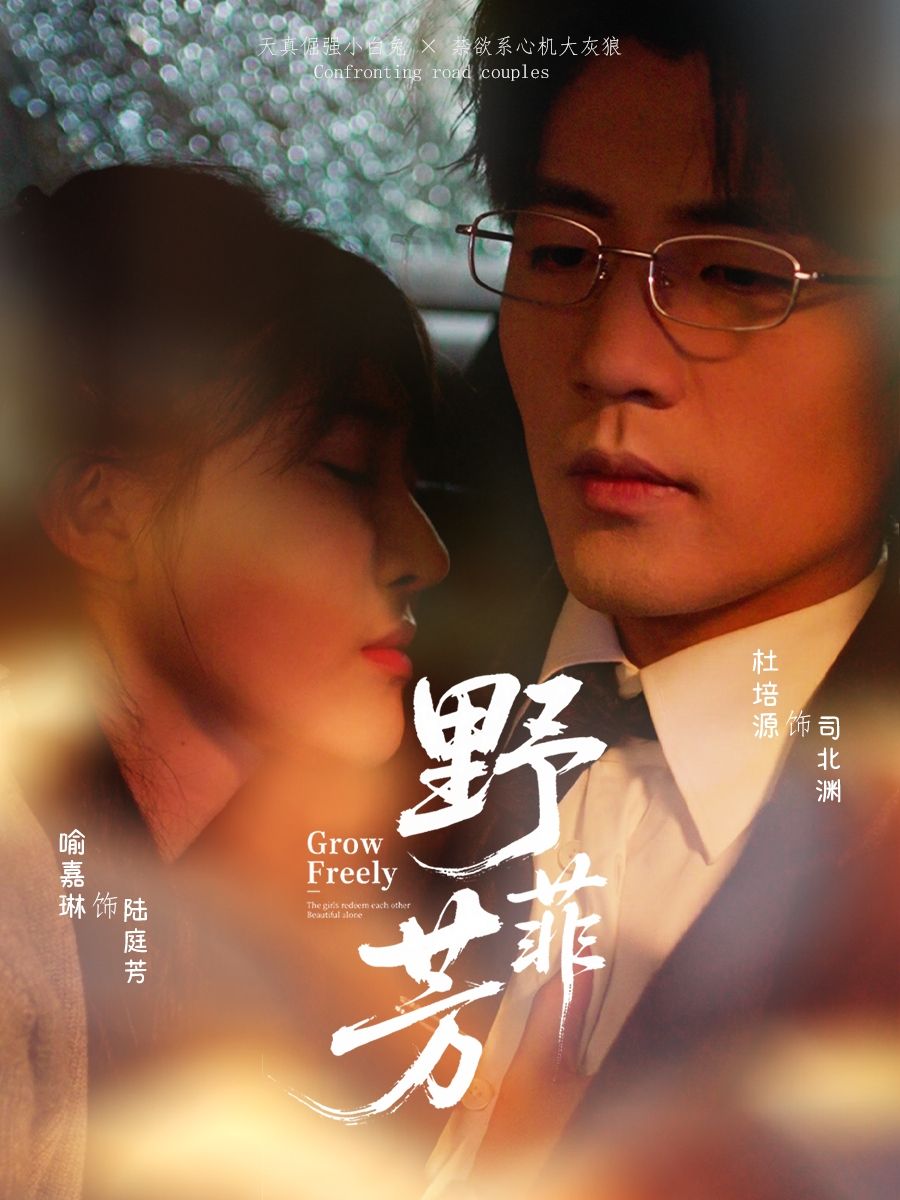 热门短剧野芳菲60集全集完整版未删减,喻嘉琳杜培源主演,免费在线观看播放,百度网盘夸克网盘资源免费分享下载 第1张 热门短剧野芳菲60集全集完整版未删减,喻嘉琳杜培源主演,免费在线观看播放,百度网盘夸克网盘资源免费分享下载 第1张