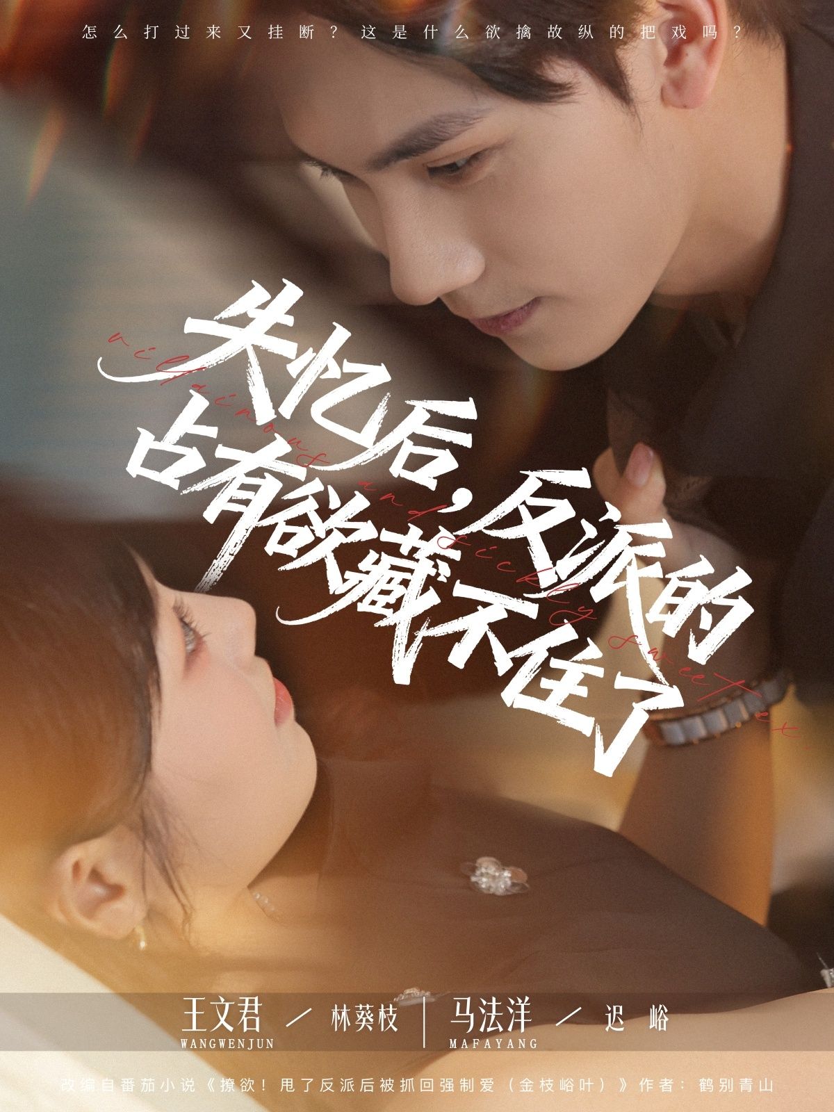 失忆后反派的占有欲藏不住了(81集)马法洋王文君全集免费在线观看未删减版百度网盘夸克网盘资源下载 第1张 失忆后反派的占有欲藏不住了(81集)马法洋王文君全集免费在线观看未删减版百度网盘夸克网盘资源下载 第1张