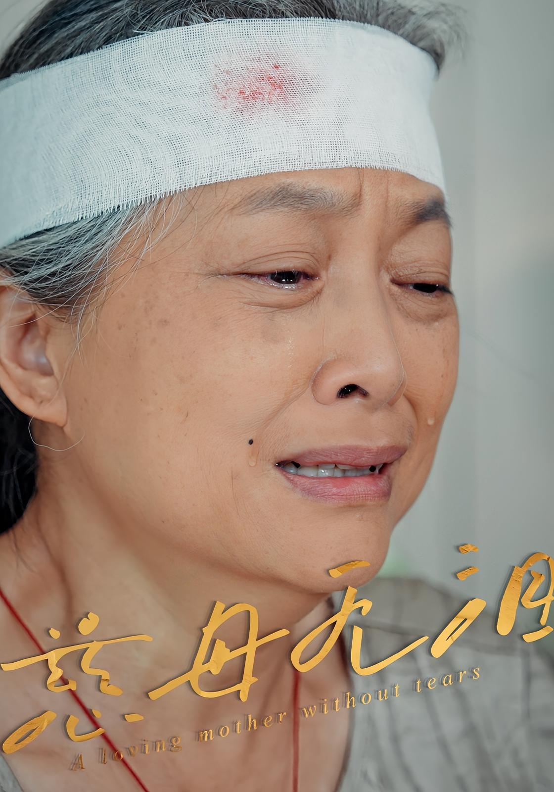 热门短剧慈母无泪30集全集未删减版免费在线观看,百度网盘夸克网盘资源下载分享,完整版播放资源未删减 第1张 热门短剧慈母无泪30集全集未删减版免费在线观看,百度网盘夸克网盘资源下载分享,完整版播放资源未删减 第1张