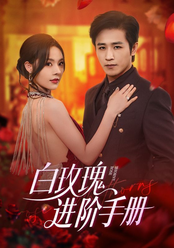 热门短剧白玫瑰进阶手册64集全集 古铭瀚赵西主演 免费在线观看无需注册 未删减版 百度夸克网盘资源下载分享  第1张