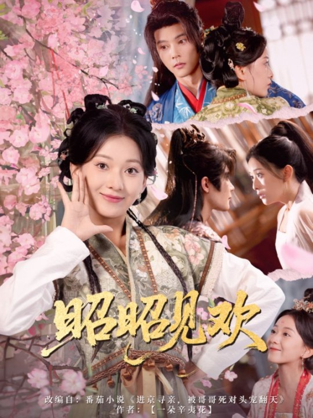 热门短剧昭昭见欢蔺瑞雪李俊辰66集全集完整版超清未删减免费在线观看,百度网盘夸克网盘资源下载分享 第1张 热门短剧昭昭见欢蔺瑞雪李俊辰66集全集完整版超清未删减免费在线观看,百度网盘夸克网盘资源下载分享 第1张