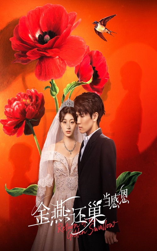 热门短剧金燕还巢当感恩55集晓杨&刘曙瑞 最新全集完整版未删减 免费在线观看 百度网盘/夸克网盘资源分享下载  第1张