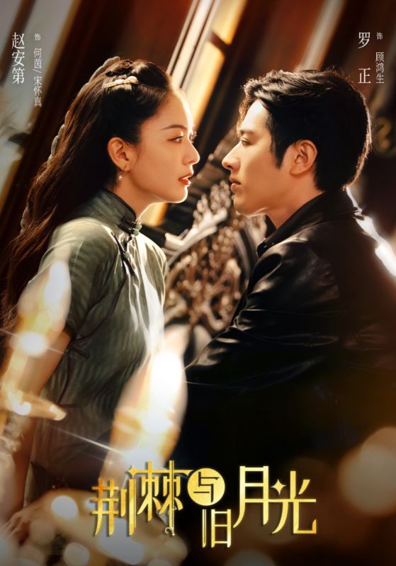 荆棘与旧月光80集罗正赵安第主演，全集完整版高清免费在线观看未删减版 百度网盘夸克网盘资源分享下载  第1张