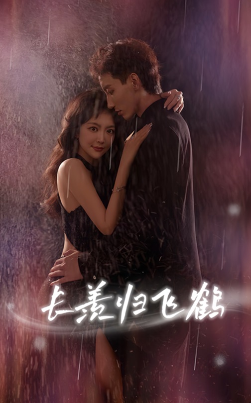 热门短剧长羡归飞鹤70集霍文琦主演，全集完整版免费在线播放未删减，百度网盘夸克网盘资源分享下载  第1张