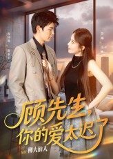 顾先生你的爱太迟了祝国凯罗琳60集全|全集完整版免费无广告在线观看|未删减版百度夸克网盘资源下载 第1张 顾先生你的爱太迟了祝国凯罗琳60集全|全集完整版免费无广告在线观看|未删减版百度夸克网盘资源下载 第1张