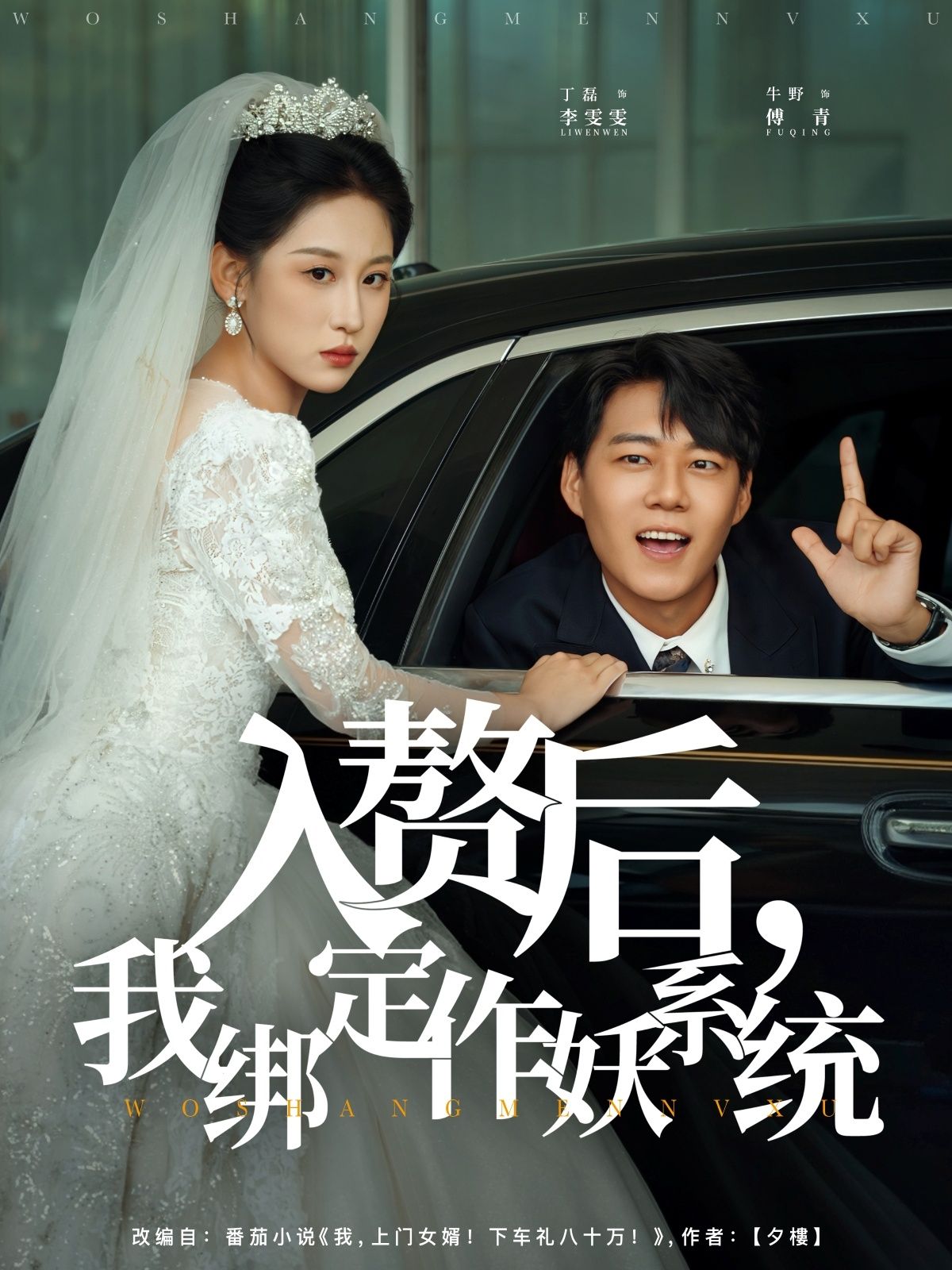 热门短剧入赘后我绑定作妖系统丁磊牛野主演 81集全集完整版高清未删减 免费在线观看 百度网盘夸克网盘资源分享下载