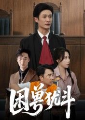 热门短剧困兽犹斗50集全集未删减版 安超&惠一秋主演 免费在线观看 百度网盘夸克网盘免费资源下载