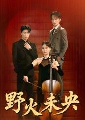 热门短剧野火未央40集全集完整版免费在线观看，张旭&刘畅主演未删减版资源，百度网盘夸克网盘秒存下载，全集高清未删减版在线播放资源分享