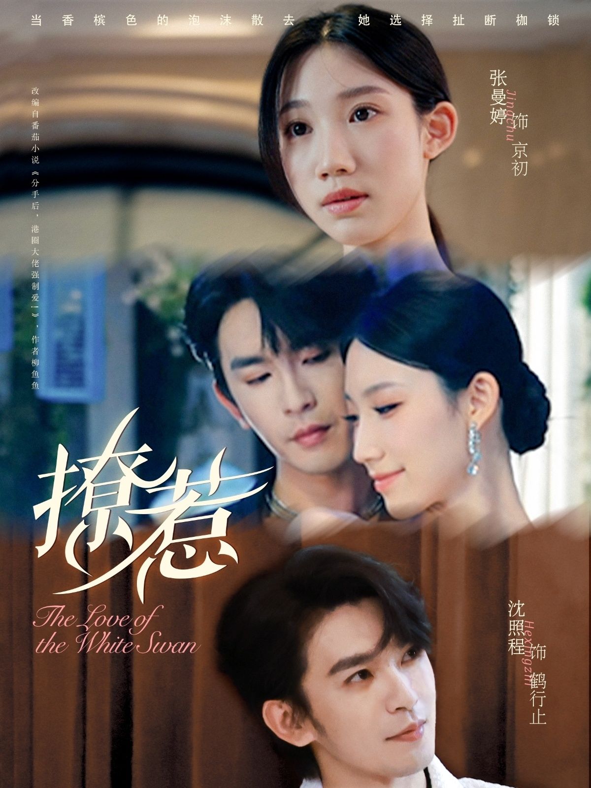 热门短剧撩惹张曼婷沈照程全集完整版免费无卡顿在线观看未删减版百度夸克网盘资源下载分享