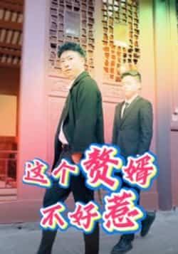 热门短剧这个赘婿不好惹（27集）全集完整版免费稳定在线观看未删减版，百度网盘夸克网盘资源免费分享下载  第1张