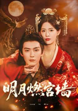热门短剧明月燃宫墙60集全集完整未删减版 常喆宽姜钰佳主演 免费在线观看 百度网盘夸克网盘资源分享下载  第1张