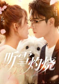 短剧听雪灼烧68集全集完整版免费播放,希尔力刘美娜主演在线观看未删减版,百度网盘夸克网盘免费资源分享下载 第1张 短剧听雪灼烧68集全集完整版免费播放,希尔力刘美娜主演在线观看未删减版,百度网盘夸克网盘免费资源分享下载 第1张