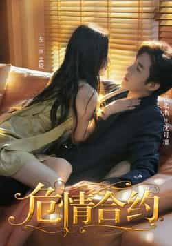 危情合约全集完整版未删减超清免费在线观看，热门短剧百度网盘夸克网盘资源分享下载  第1张