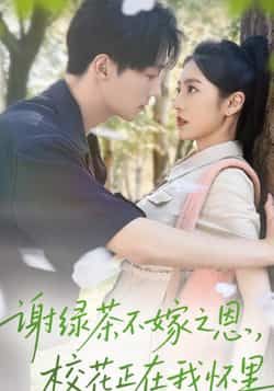 热门短剧谢绿茶不嫁之恩校花正在我怀里全集完整版免费无水印在线观看未删减版，百度网盘夸克网盘免费资源分享下载  第1张