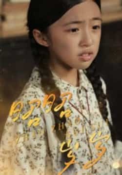 热门短剧昭昭岁岁全集完整版免费在线观看未删减版,百度网盘夸克网盘资源分享下载 第1张 热门短剧昭昭岁岁全集完整版免费在线观看未删减版,百度网盘夸克网盘资源分享下载 第1张