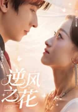 热门短剧逆风之花全集完整版免费稳定在线观看未删减版,百度网盘夸克网盘资源分享下载 第1张 热门短剧逆风之花全集完整版免费稳定在线观看未删减版,百度网盘夸克网盘资源分享下载 第1张
