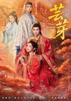 热门短剧芸芽全集完整版免费无需注册在线观看未删减版,百度网盘夸克网盘免费资源分享下载,热门短剧资源在线播放未删减全集免费看 第1张 热门短剧芸芽全集完整版免费无需注册在线观看未删减版,百度网盘夸克网盘免费资源分享下载,热门短剧资源在线播放未删减全集免费看 第1张