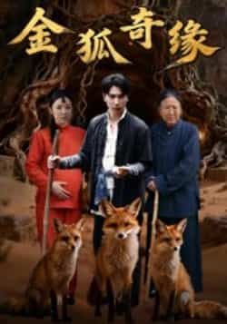 热门短剧金狐奇缘全集完整版免费无水印在线观看未删减版,百度网盘夸克网盘资源分享下载 第1张 热门短剧金狐奇缘全集完整版免费无水印在线观看未删减版,百度网盘夸克网盘资源分享下载 第1张