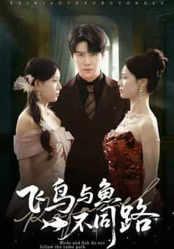 热门短剧飞鸟与鱼不同路全集完整版免费无卡顿在线观看未删减版,百度网盘夸克网盘免费资源分享下载 第1张 热门短剧飞鸟与鱼不同路全集完整版免费无卡顿在线观看未删减版,百度网盘夸克网盘免费资源分享下载 第1张