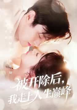 热门短剧被开除后，我走上人生巅峰全集完整版未删减，免费在线观看，百度网盘夸克网盘资源分享下载，未删减版全集在线播放免费看  第1张