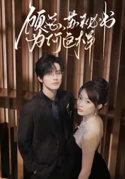 热门短剧顾总，苏秘书为何这样全集完整版实时更新免费在线观看未删减版，百度网盘夸克网盘免费资源分享下载，最新剧情抢先看！  第1张