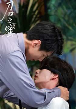 热门短剧刀口之蜜全集完整版免费播放在线观看未删减版，百度网盘夸克网盘免费资源分享下载