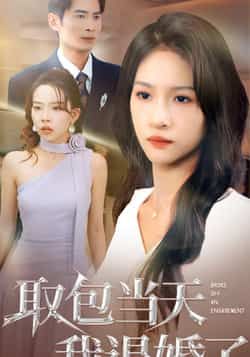 热门短剧取包当天我退婚了全集完整版免费在线观看未删减版，百度网盘夸克网盘资源分享下载稳定播放