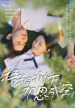 热门短剧《梧桐树下，相思成空》 全集完整版免费在线播放观看未删减版资源，短剧百度网盘夸克网盘免费资源分享下载