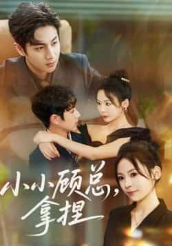 热门短剧小小顾总拿捏全集完整版免费在线观看未删减版,百度夸克网盘资源秒存下载分享,未删减版全集在线播放免费看