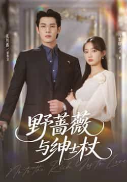 热门短剧野蔷薇与绅士杖全集完整版免费无卡顿在线观看，未删减版资源，百度网盘夸克网盘免费分享下载