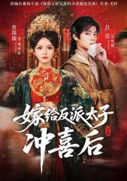 嫁给反派太子冲喜后全集未删减完整版免费无水印在线观看，百度网盘夸克网盘免费资源分享下载  第1张