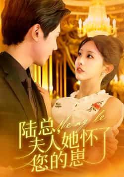 热门短剧《陆总，夫人她怀了您的崽》 全集完整版免费稳定在线观看播放未删减版资源，短剧百度网盘夸克网盘免费资源分享下载