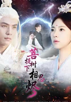 菩提树下相思烬全集完整版未删减免费稳定在线观看，百度网盘夸克网盘免费资源分享下载