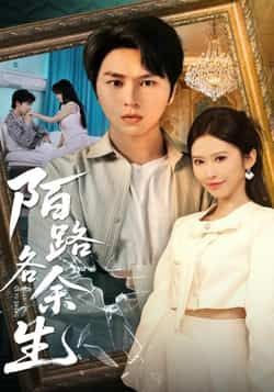 热门短剧陌路各余生全集完整版免费无广告在线观看未删减版资源,百度网盘夸克网盘免费资源分享下载